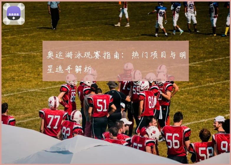 奥运游泳观赛指南:热门项目与明星选手解析