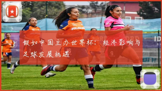 假如中国主办世界杯:经济影响与足球发展机遇