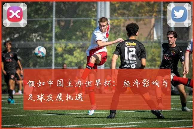 假如中国主办世界杯:经济影响与足球发展机遇