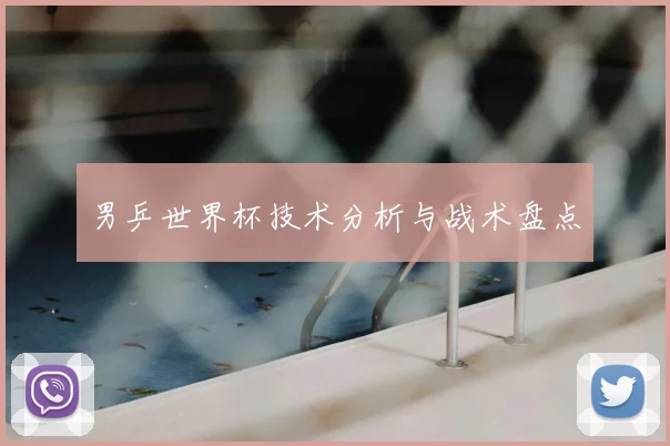 男乒世界杯技术分析与战术盘点